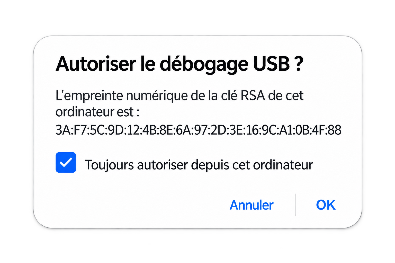 L&rsquo;option « Toujours autoriser depuis cet ordinateur » à cocher à la première connexion
